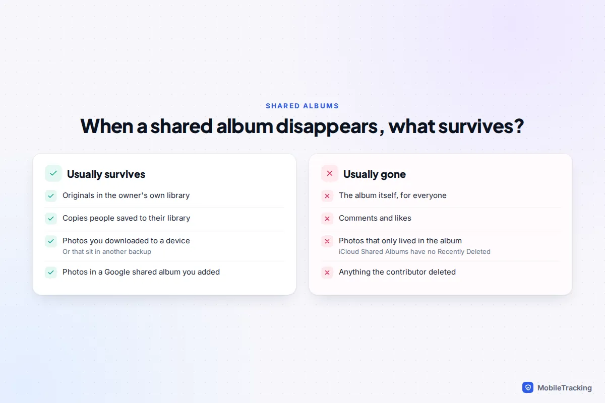 Comparison of what usually survives when a shared photo album is deleted, such as saved copies, against what is usually lost, such as comments