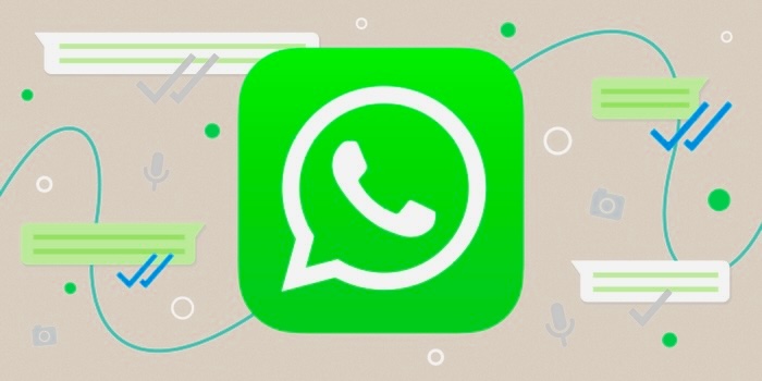 WhatsApp message not delivered — what the single gray tick means and how to fix it
